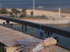 -莫内艺术岛海景咖啡
