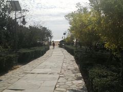 -青岛银沙滩温德姆至尊酒店