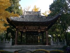 -汇龙潭