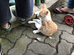 -拉古南动物园
