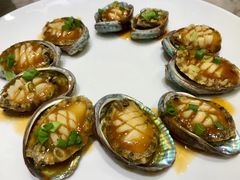 -小海丁