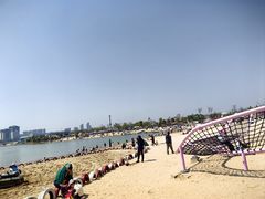 -九龙湖公园