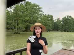-池杉湖湿地公园