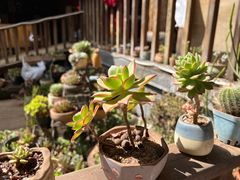 大堂-滇藏石锅宴(北门坡古城管理局店)