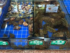-皇朝海鲜酒店