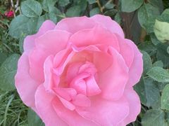 -百姓康洁洗浴中心