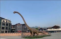 -恐龙探索乐园(磁器口店)