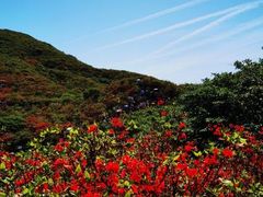 -大围山国家森林公园