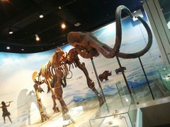 -辽宁古生物博物馆