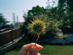 -前小桔亲子创意农场·草莓采摘·露营烧烤