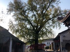 -昭庆寺
