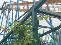 -成都欢乐谷