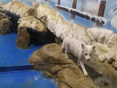 -顺德南宏海立方海洋公园