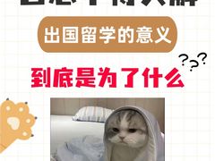 -新航道雅思托福·留学·考研培训(人民广场校区)