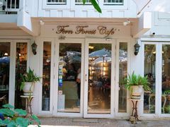 -Fern Forest Cafe