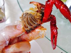 -小李子油焖大虾(天下城旗舰店)