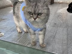 -小时光咖啡馆(北锣鼓巷店)