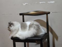 -暗楼·剧本杀·桌游