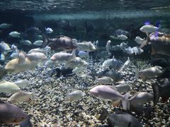 -成都浩海立方海洋公园