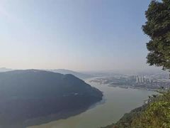 -铁山坪森林公园