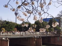 -红星桥(地铁站)