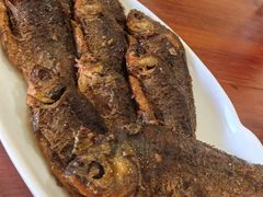 -独流饭店(静海区国土资源分局西)
