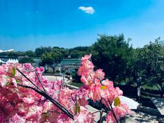 -Lets burger非常汉堡·环球风味(蓝色港湾店)