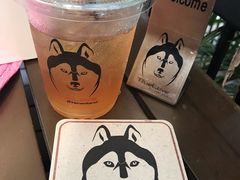 -TrueLove @ Neverland (Husky Cafe)