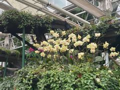 -兰陵国家农业公园