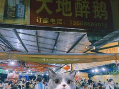 -大地农庄(逢沙大道店)