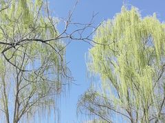 -三里河公园