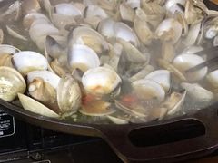 -顺德哥卜卜贝(旗舰店)