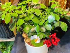 -何兮花店·气球派对鲜花店(马桥银春路万科城店)