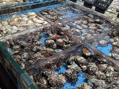 -徐记海鲜(观沙岭|滨江新城店)
