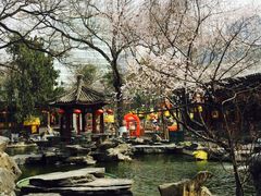 -白家大院·王府宫廷菜(苏州街店)