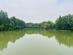 -东湖落雁景区