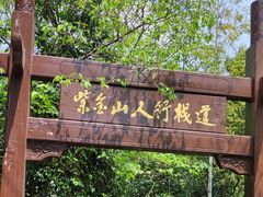 -紫金山山顶公园