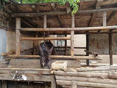 -清风小镇闯关东影视基地