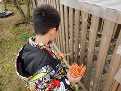 -天目湖涵田度假村