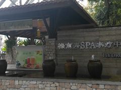 -棕南海水疗会所