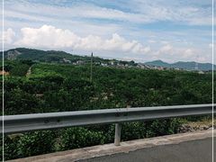 -桃花岛风景旅游区