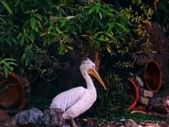 -昆明动物园