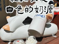 -白色日记·手作酸奶(麦凯乐店)