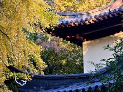 -郑和公园