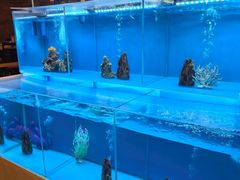 -怡咖啡·自助餐·西安香格里拉