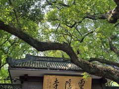 -灵隐飞来峰景区