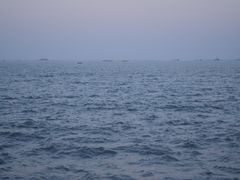 -悦海公园