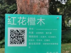 -黄埔荔枝公园
