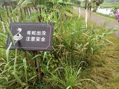 -芒洲湿地公园