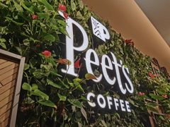 -Peet's Coffee皮爷咖啡(豫园店)